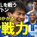 【海外サッカー】来季ELに挑むブライトン、着々と補強！クラブ史上最高移籍金の若きFW、クルトワ超えのGK、万能MF、デゼルビ熱望のMFなど三笘とともに戦う頼れる新戦力たちをゆっくり解説