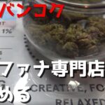 (#2)【2日目】タイはマリファナ(大麻) 事情はいかに！？マリファナ専門店に潜入調査《5万円で世界を歩く タイ編 》