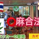 【タイ、大麻合法❗️CBDは日本は合法なので、舌下に入れてた😊カンナビ🇯🇵日本も合法になる時はあるのかな？】