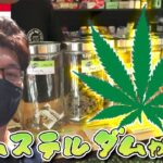 大麻解禁から数カ月後のバンコク。スクンビット界隈だけでもエライことになってた！