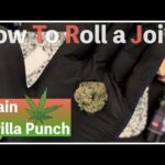 Gorilla Punchという大麻の香りだけでブリブリに！【How To Roll a Joint】