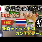 #海外旅行 #thailand 【20禁】 CBD と CBC THC 何が違うの？簡単に解説！タイ・パタヤ で安全性が飛躍的に高い | 大麻販売認証店 |を紹介致します。