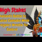 High Stakes: Thailand’s Battle to Legalize Cannabis While Foreigners Wrestle for Control