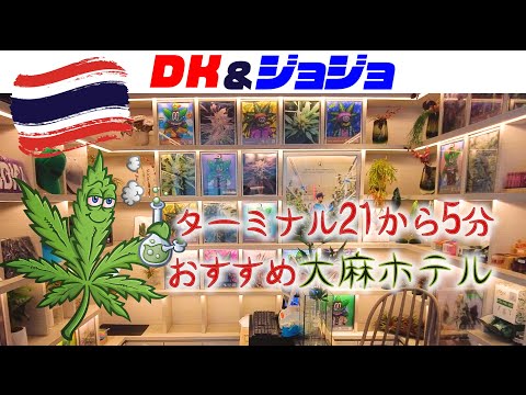 【バンコクのおすすめホテル】ターミナル21から5分！おすすめ大麻ホテル？ | タイ旅行 | ブティックホテル | おすすめ宿泊