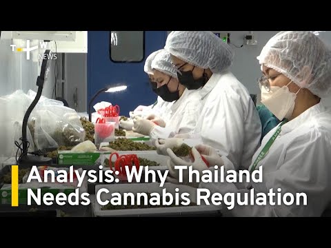 Analysis: Why Thailand Needs Cannabis Regulation | TaiwanPlus News