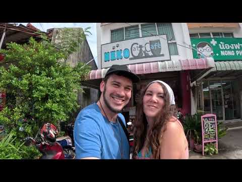 Thailand – Phuket Canna Crawl – Phukets Best Cannabis Shops + 1000 Cannabis Clones + Neko Cat Cafe