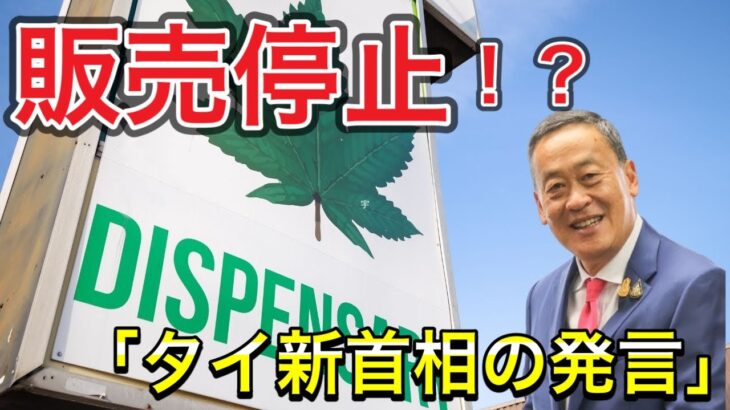 【大麻の販売停止！？】タイの新首相からの衝撃発言 #タイ #合法 #違法 #規制 #マリファナ