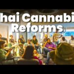 Thailand Cannabis Legal Reforms 2024