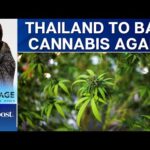 Thailand to Reverse its Move to Legalise Cannabis; Reinstate Ban | Vantage with Palki Sharma