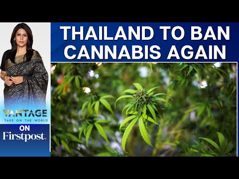 Thailand to Reverse its Move to Legalise Cannabis; Reinstate Ban | Vantage with Palki Sharma