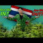 The Politics of Cannabis in Thailand