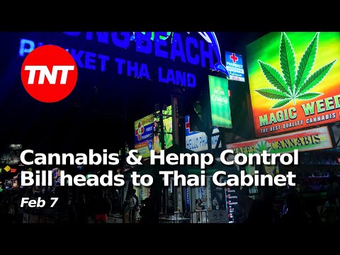 Cannabis & Hemp Control Bill heads to Cabinet, Thaksin’s parole – Feb 7