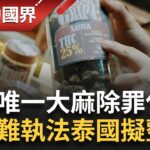 SUB｜泰High? 亞洲唯一泰國大麻除罪化 只須上網登記就能種大麻 倉促上路民間亂.警察難執法 泰國擬整頓娛麻 邊走邊修法│記者 黃瀞瑩 曾建勳│【消失的國界】20240207│三立新聞台