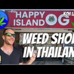 Weed Shop Tour in Thailand | Koh Lanta (best prices so far?)