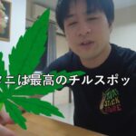 【ウドンタニ編】タイの大麻ディスペンサリーに行ってきた