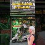 Best Weed Shop In Bangkok – Cannabis… USA. #weed #cannabis #bangkok #thailand #dispensary #thai