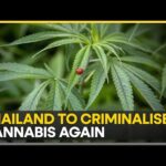 Thailand Prime Minister Srettha Thavisin seeks to criminalise cannabis again | WION News