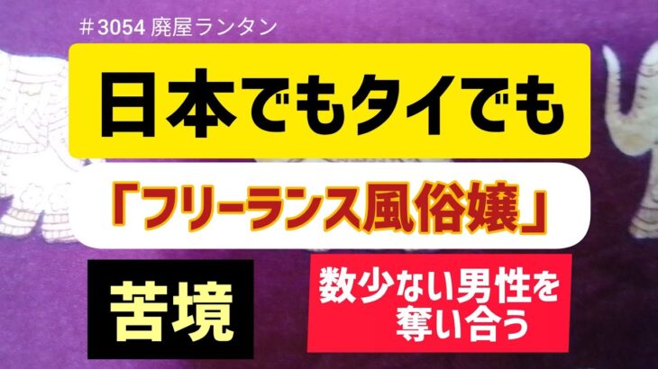 ＃3054 日本でもタイでも…続く「フリーランス風俗嬢」の苦境。パ活はじめ相場が再び下落、数少ない男性を奪い合う皮肉な現象。　　　2024.7.13.