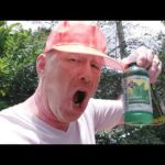 CANNABIS WATER ?! A Thai Food & Drink Product Review !