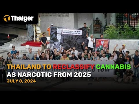 Thailand News July 8: Thailand to Reclassify Cannabis as Narcotic from 2025