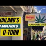 Thailand’s Cannabis U-Turn: A Return to the Political Middle-Ground #cannabiseducation #thailand