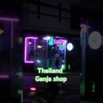 Thailand Marijuana Shop #shortvideo #streetfood #food #thaifood #marijuana #shortvideo #shorts