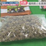 「茶葉を装い」大麻1キロ・末端価格500万円を密輸入した疑い　ベトナム国籍の男ら4人を逮捕　福岡