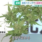 自宅ベランダで大麻草を栽培か　自身で使用していた可能性も　40歳の男を逮捕　岐阜 (24/10/16 19:00)