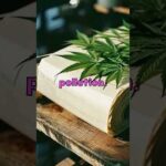 How beneficial is Cannabis? | Pattaya Weed Delivery | Thailand Weed | Marijuana Farm In Thailand