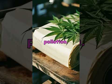 How beneficial is Cannabis? | Pattaya Weed Delivery | Thailand Weed | Marijuana Farm In Thailand