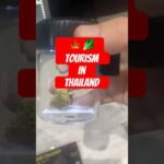 Thailands legal cannabis shops| Thailand VLOGS