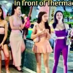 Thermae Cafe Boom Boom Freelancers 2024 | Thermae Cafe, Bangkok Soi 4, Bangkok Nightlife Nana Plaza