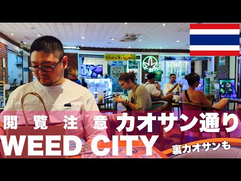 ［バンコク旅行］カオサン通り 大麻シティ WEED CITY は謎の霧でクラクラきた！