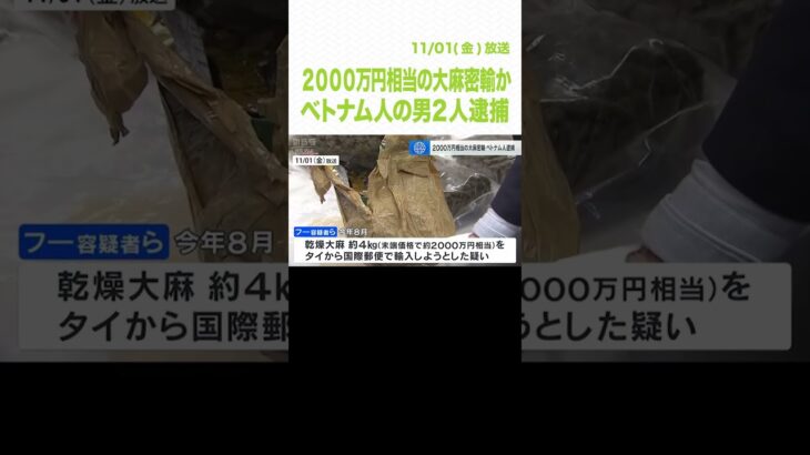 ２０００万円相当の大麻を密輸か　ベトナム人の男２人逮捕　警察は密売組織のメンバーとみて捜査（2024年11月1日）　#Shorts