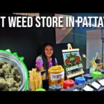 I Went Back To The Best Weed Store In Pattaya