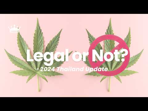 Thailand Cannabis Guide for Tourists 2024: What You Must Know!