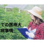 タイでの医療大麻の実情！