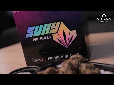 ATHENA® x SUAY BC