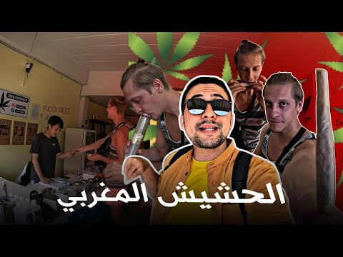 القنب الهندي… دواء أم دمار؟ 🌿💊 | Cannabis in Thailand