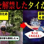 大麻を解禁したタイの惨状【ずんだもん＆ゆっくり解説】