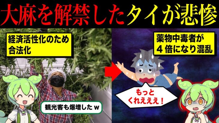 大麻を解禁したタイの惨状【ずんだもん＆ゆっくり解説】