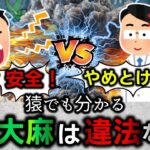 【違法＆合法】なぜ大麻は違法になったのか？【医学・簡単解説】