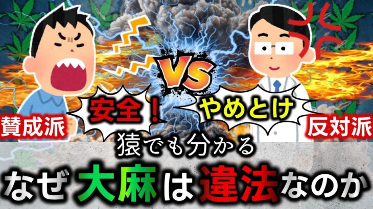 【違法＆合法】なぜ大麻は違法になったのか？【医学・簡単解説】