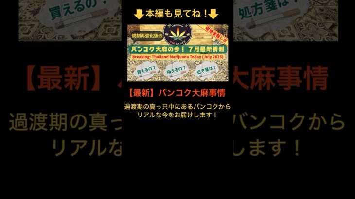 バンコクの大麻事情【７月最新版】 #Catnabis TV #short
