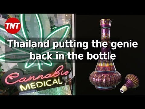 More details about Thailand’s can**bis cull