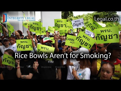 Secretary to Thai Health Minister: “No Plan to Recriminalise Cannabis”?
