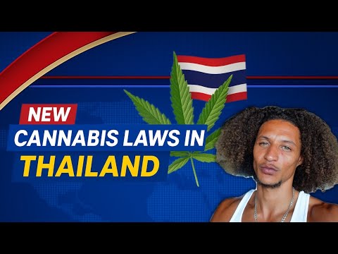 Thailand’s New Cannabis Laws Explained 🇹🇭📜
