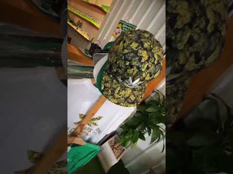 Thai Cannabis Club – Where every visit feels like a getaway!