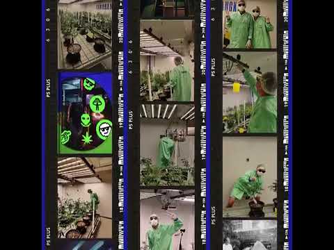 CANABANGKA FARM MEMORY Every leaf has a story #bangkok #thailand #cannabisdispensary