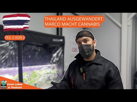 Neuanfang mit 33. Marco gründet ein Cannabis-Unternehmen in Thailand  Teil 2 #aktuell  #auswanderer